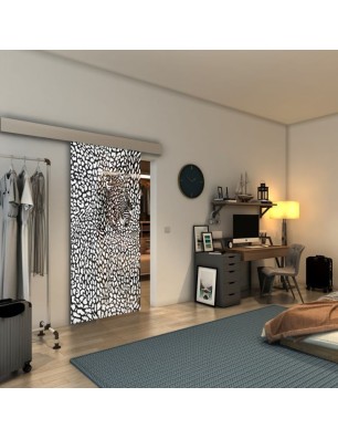 Glasschiebetür ECO-LINE - Fineprint Model 016 Weiss auf Grauglas