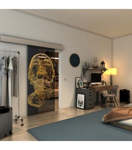 Glasschiebetür ECO-LINE - Fineprint Model 103 Gold auf Grauglas
