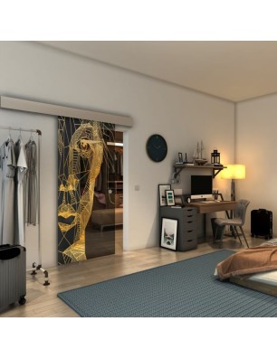 Glasschiebetür ECO-LINE - Fineprint Model 123 Gold auf Grauglas