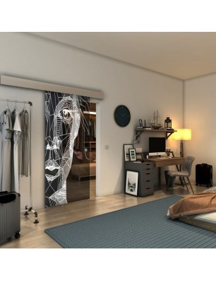 Glasschiebetür ECO-LINE - Fineprint Model 123 Weiss auf Grauglas