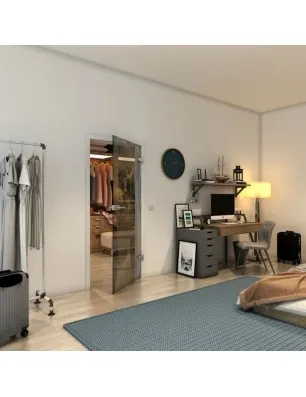 Ganzglastür - Fineprint Model 009 Gold auf Grauglas