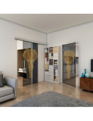 Glasschiebetür SLIM-LINE - Fineprint Model 078 Gold auf Grauglas