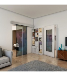 Glasschiebetür ECO-LINE - Fineprint Model 009 Verlauf auf Grauglas