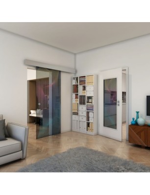 Glasschiebetür ECO-LINE - Fineprint Model 009 Verlauf auf Grauglas