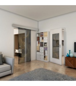 Glasschiebetür ECO-LINE - Fineprint Model 009 Gold auf Grauglas