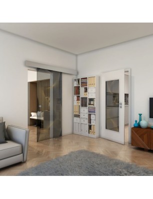 Glasschiebetür ECO-LINE - Fineprint Model 009 Gold auf Grauglas