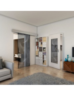Glasschiebetür ECO-LINE - Fineprint Model 009 Weiss auf Grauglas