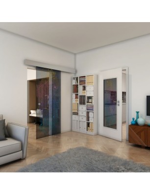 Glasschiebetür ECO-LINE - Fineprint Model 013 Verlauf auf Grauglas
