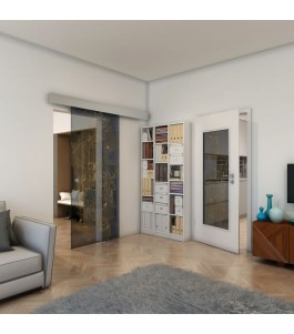 Glasschiebetür ECO-LINE - Fineprint Model 013 Gold auf Grauglas