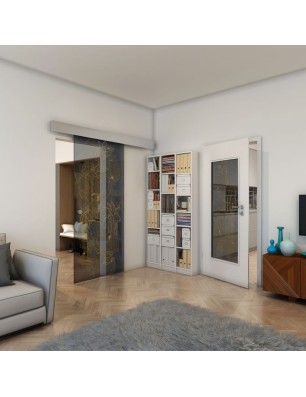 Glasschiebetür ECO-LINE - Fineprint Model 013 Gold auf Grauglas