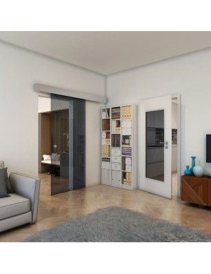 Glasschiebetür ECO-LINE - Fineprint Model 028 Schwarz auf Grauglas