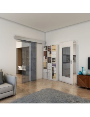 Glasschiebetür ECO-LINE - Fineprint Model 063 Weiss auf Grauglas