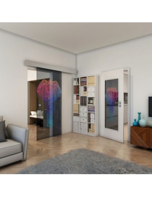 Glasschiebetür ECO-LINE - Fineprint Model 078 Verlauf auf Grauglas