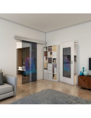 Glasschiebetür ECO-LINE - Fineprint Model 119 Verlauf auf Grauglas