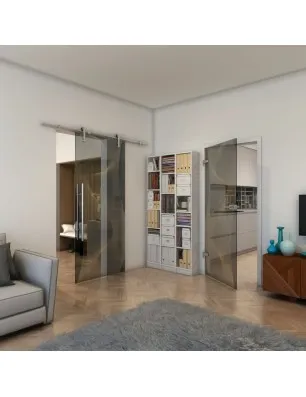 Ganzglastür - Fineprint Model 009 Gold auf Grauglas