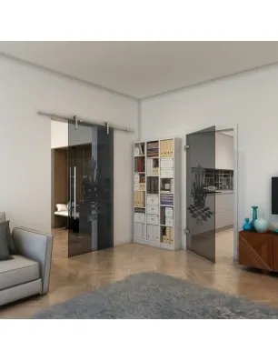 Ganzglastür - Fineprint Model 136 Schwarz auf Grauglas