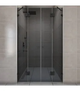 Duschtüren Escada 06 - Pendelband - Schwarz - Grauglas