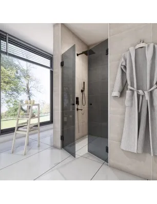 Duschtüren Escada 04 - Pendelband - Schwarz - Grauglas