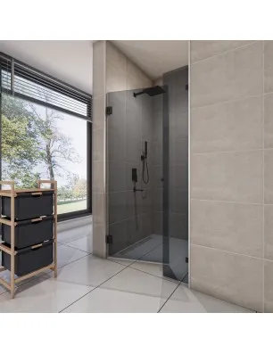 Duschtüren Escada 08 - Pendelband - Schwarz - Grauglas