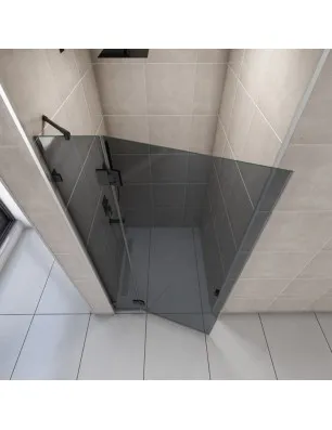 Duschtüren Escada 03 - Pendelband - Schwarz - Grauglas