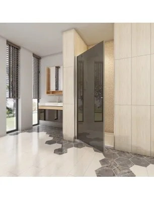 Duschtüren Cali 02 - Pendeltür - Chrom - Grauglas