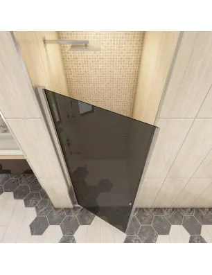 Duschtüren Cali 02 - Pendeltür - Chrom - Grauglas