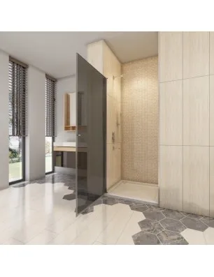 Duschtüren Cali 02 - Pendeltür - Chrom - Grauglas