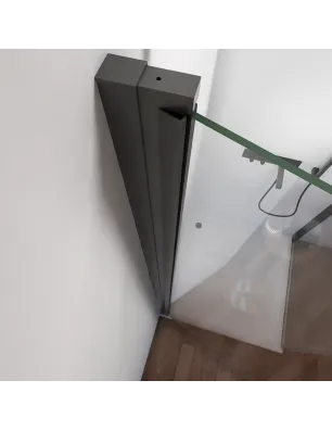 Duschtüren Crato 11 - aussenöffnend - Schwarz - Grauglas