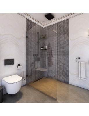 Walk In Dusche Regal 12-Chrom-Klarglas