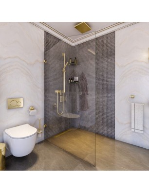 Walk In Dusche Royal 12-Chrom-Klarglas