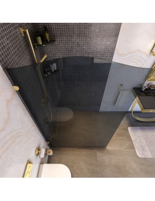 Walk In Dusche Royal 12-Chrom-Grauglas
