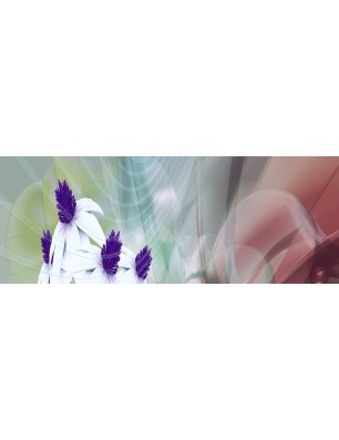 Glas Küchenrückwand 6 mm ESG Motive KRWM-0092