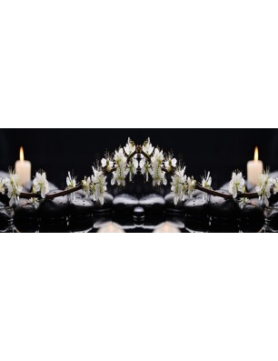 Glas Küchenrückwand 6 mm ESG Motive KRWM-0182