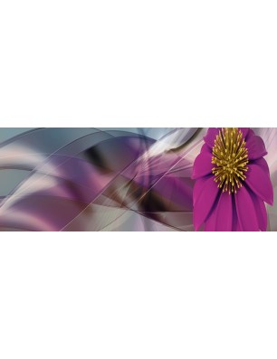 Glas Küchenrückwand 6 mm ESG Motive KRWM-0226
