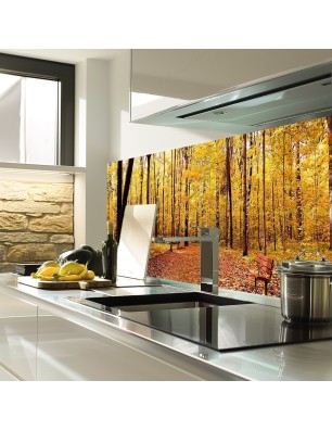 Glas Küchenrückwand 6 mm ESG Motive KRWM-0229