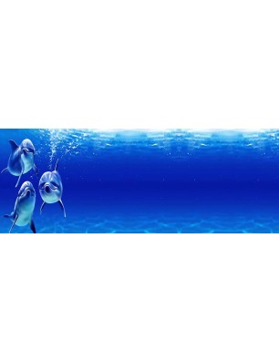 Glas Küchenrückwand 6 mm ESG Motive KRWM-0232