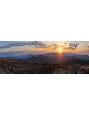 Glas Küchenrückwand 6 mm ESG Motive KRWM-0251