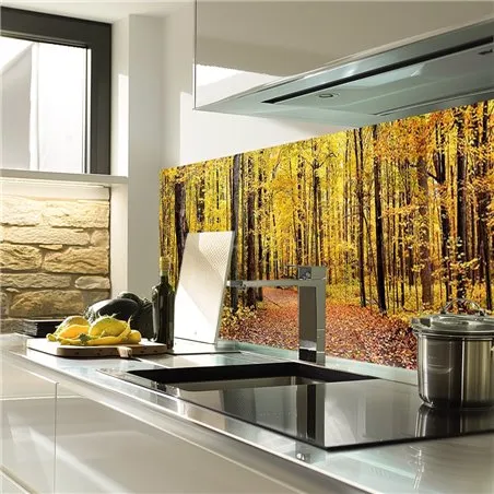 Glas Küchenrückwand 6 mm ESG Motive KRWM-0256