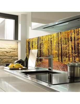 Glas Küchenrückwand 6 mm ESG Motive KRWM-0256