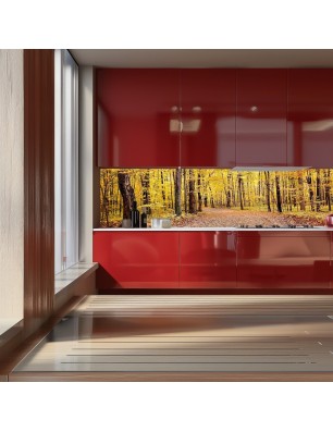 Glas Küchenrückwand 6 mm ESG Motive KRWM-0256