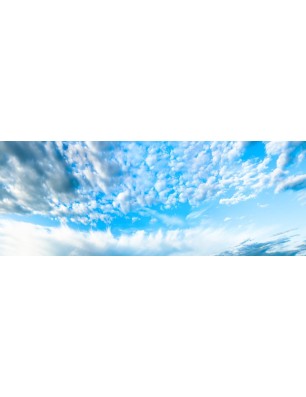 Glas Küchenrückwand 6 mm ESG Motive KRWM-0262