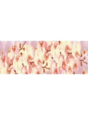 Glas Küchenrückwand 6 mm ESG Motive KRWM-0265