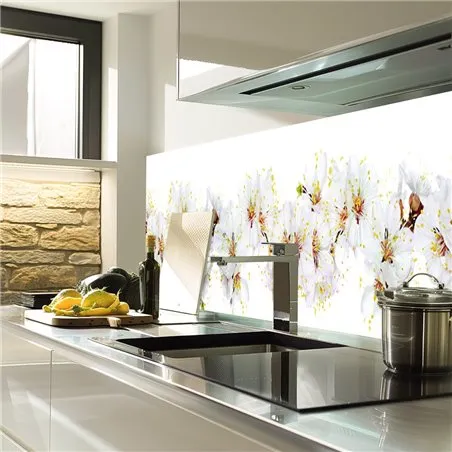 Glas Küchenrückwand 6 mm ESG Motive KRWM-0271