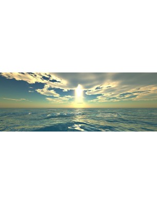 Glas Küchenrückwand 6 mm ESG Motive KRWM-0272