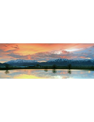 Glas Küchenrückwand 6 mm ESG Motive KRWM-0274