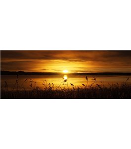 Glas Küchenrückwand 6 mm ESG Motive KRWM-0277