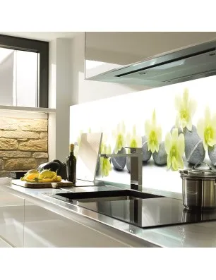 Glas Küchenrückwand 6 mm ESG Motive KRWM-0282