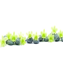 Glas Küchenrückwand 6 mm ESG Motive KRWM-0282