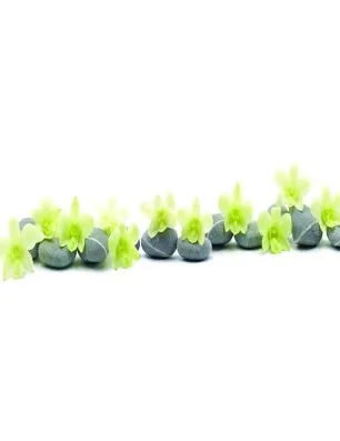 Glas Küchenrückwand 6 mm ESG Motive KRWM-0282