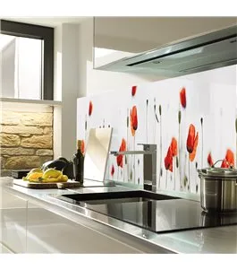 Glas Küchenrückwand 6 mm ESG Motive KRWM-0289